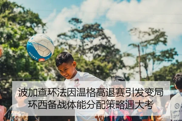 bo-jia-cha-huan-fa-yin-wen-ge-gao-tui-sai-yin-fa-bian-ju-huan-xi-bei-zhan-ti-neng-fen-pei-ce-lve-yu-da-kao-2-298.jpg